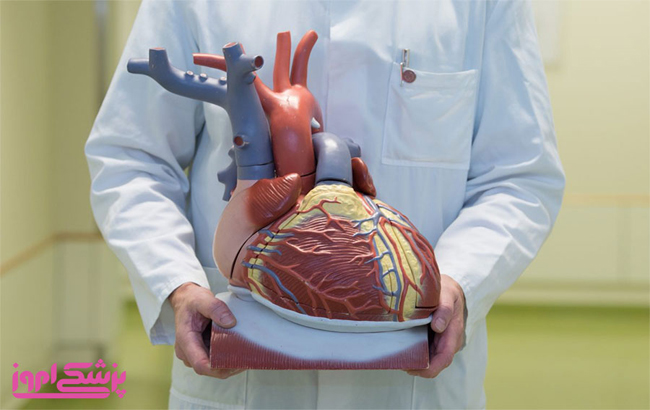 تشخیص سکته قلبی|بیمار|بیماری|سکته|سکته قلبی|حمله قلبی|قلب